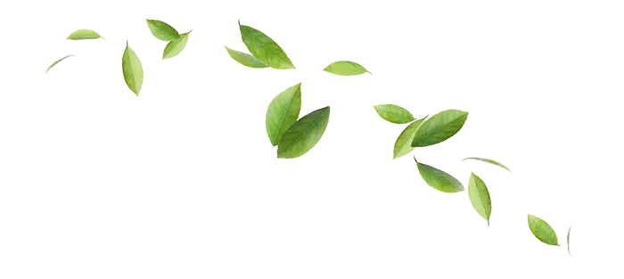 Green leafs